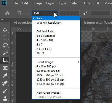 Re: Display aspect ratio when selecting or croppin... - Adobe Community